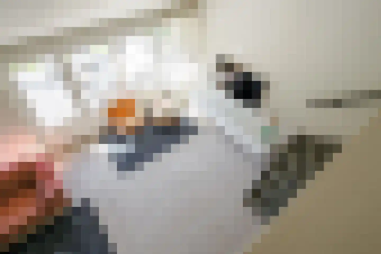 Grotestraat 31 Borne thumbnail 26