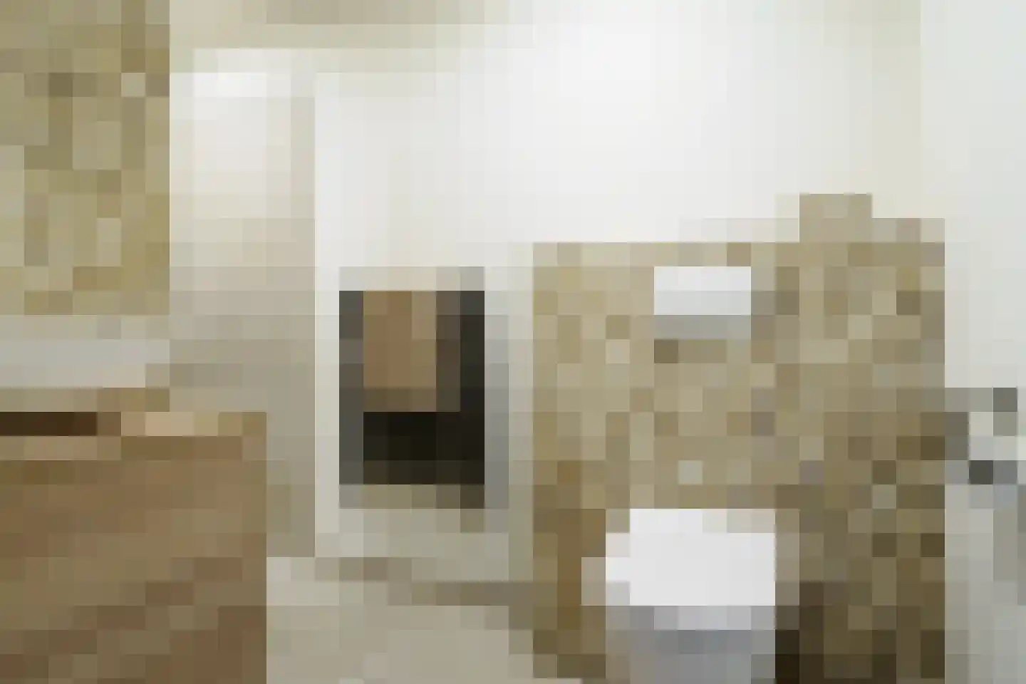 Grotestraat 31 Borne thumbnail 27