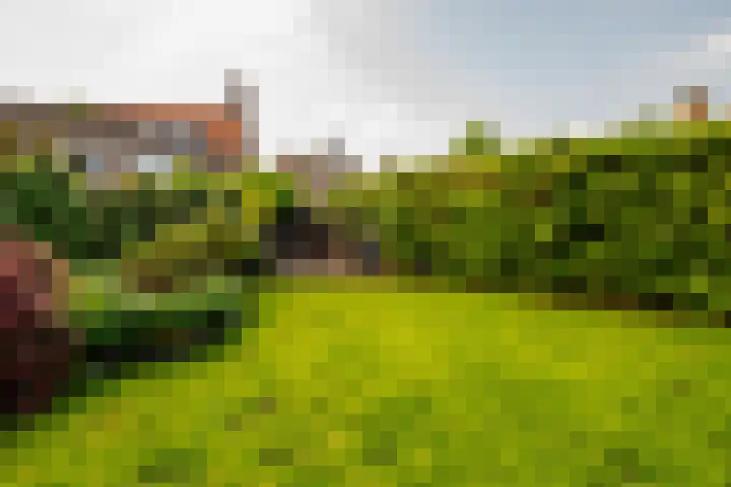 Grotestraat 31 Borne thumbnail 43