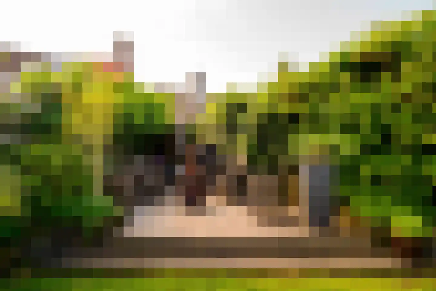 Grotestraat 31 Borne thumbnail 44