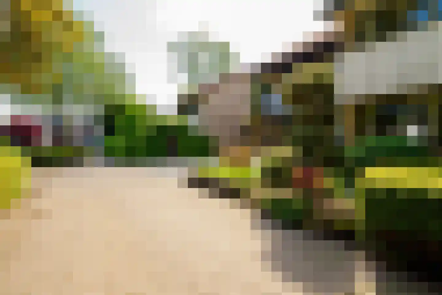 Grotestraat 31 Borne thumbnail 48