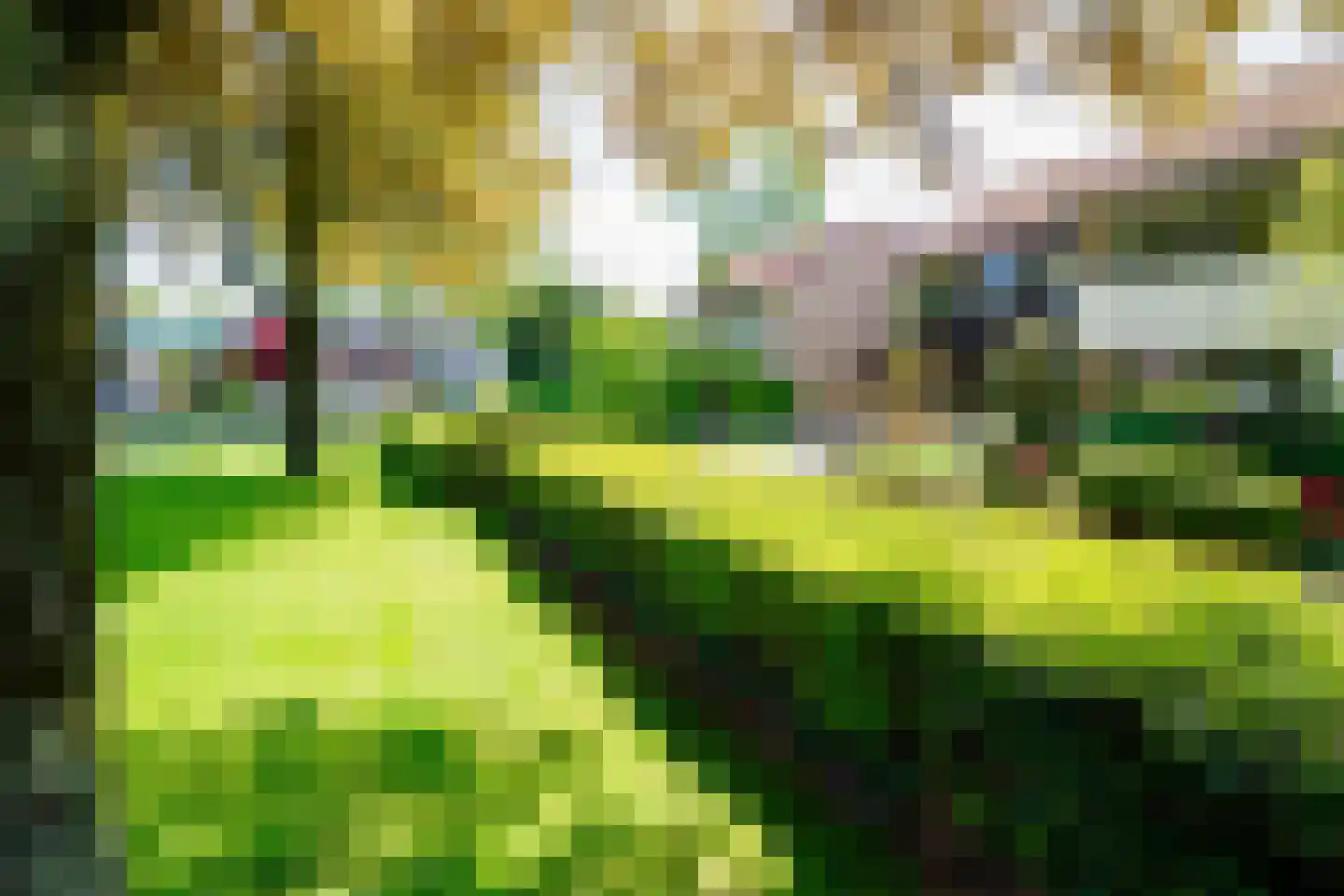 Grotestraat 31 Borne thumbnail 49