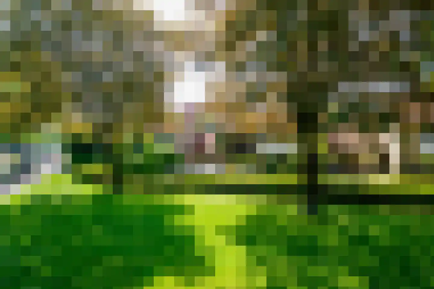 Grotestraat 31 Borne thumbnail 50