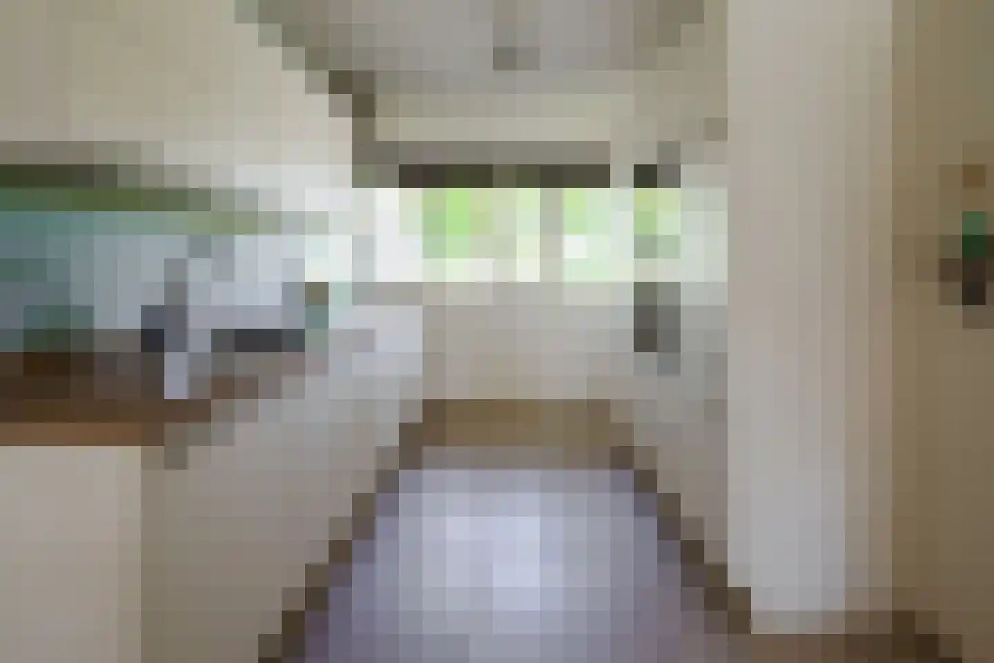 Grotestraat 31 Borne thumbnail 8