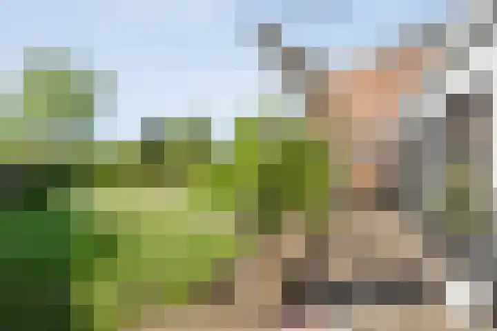 Grotestraat 31 Den Ham thumbnail 37