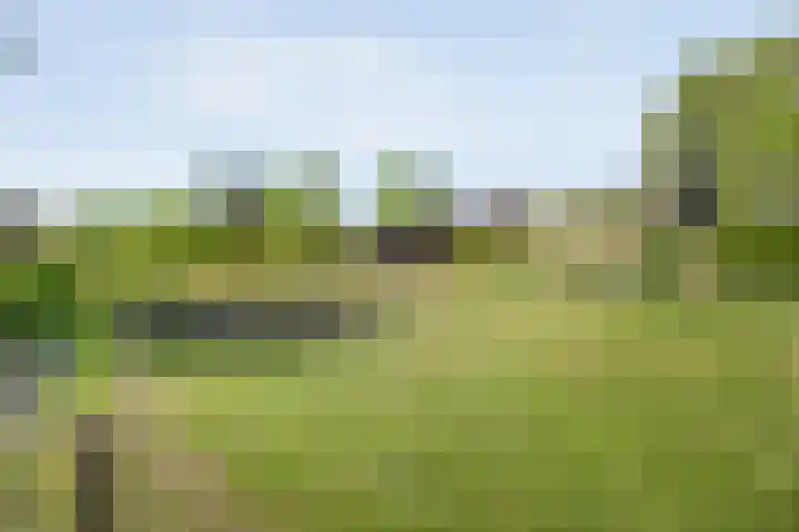 Grotestraat 31 Den Ham thumbnail 39
