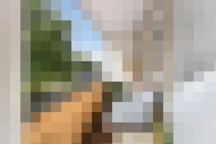 Grotestraat 31 Den Ham thumbnail 46