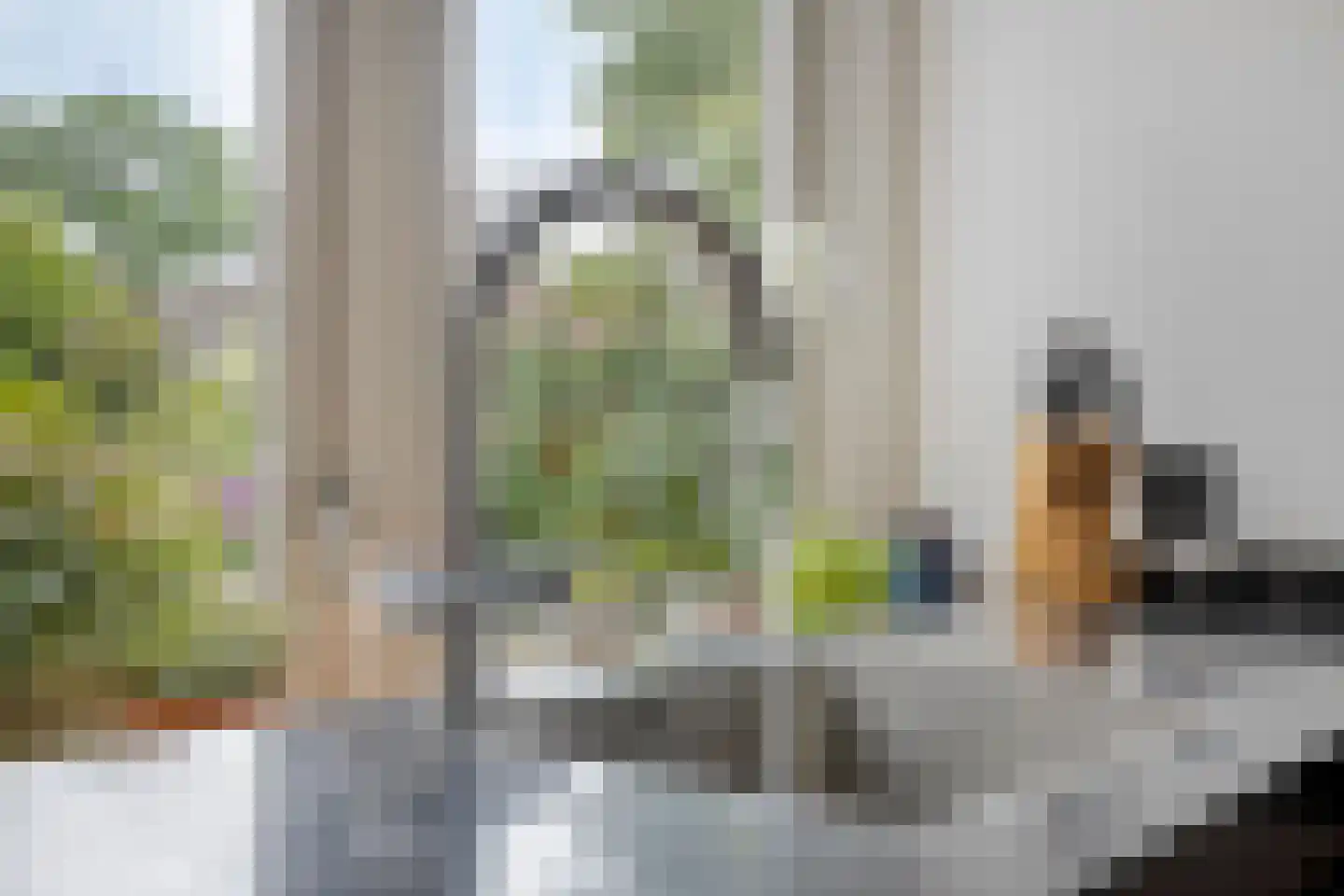 Grotestraat 31 Diepenheim thumbnail 24