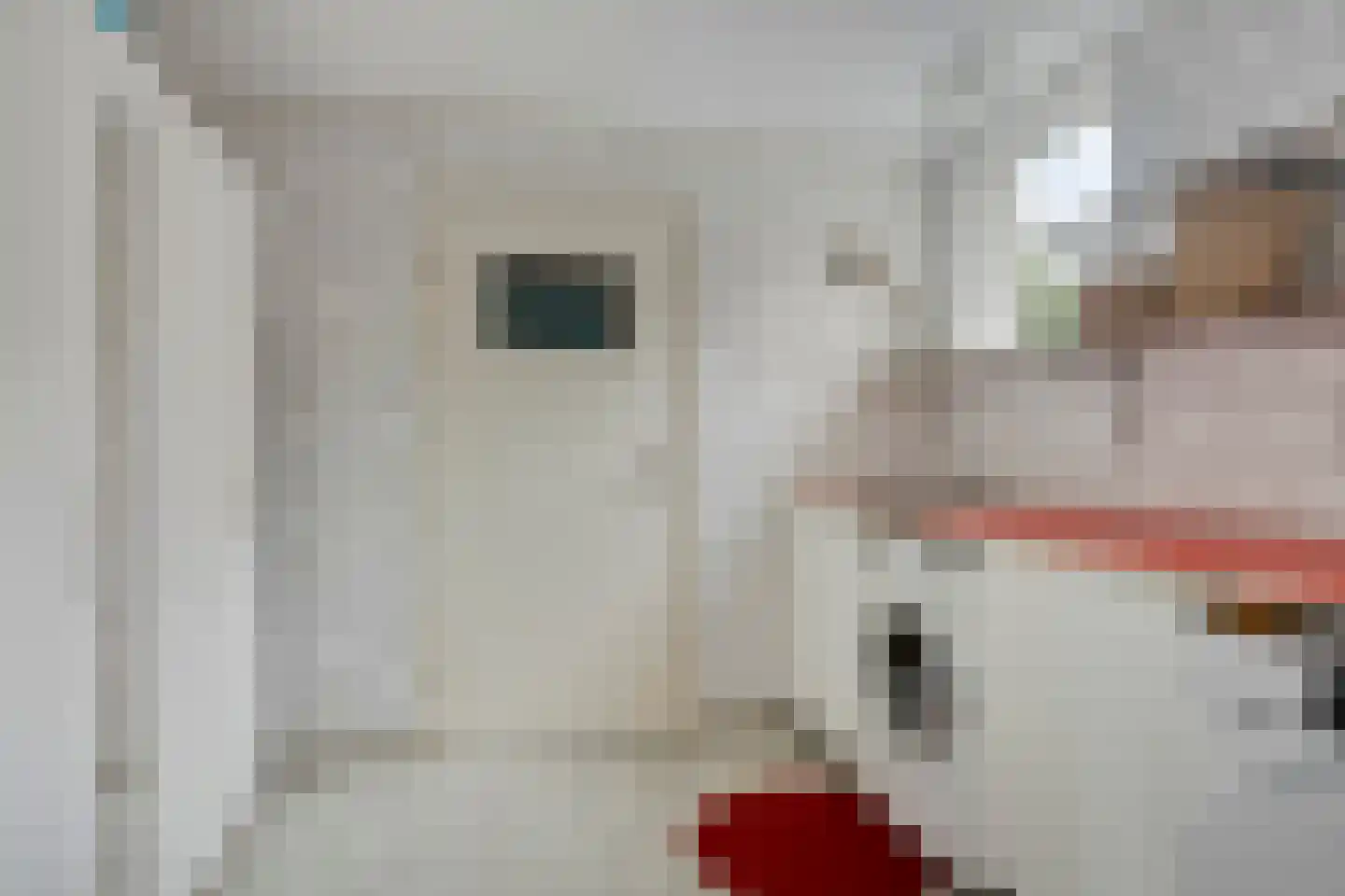 Grotestraat 31 Diepenheim thumbnail 26