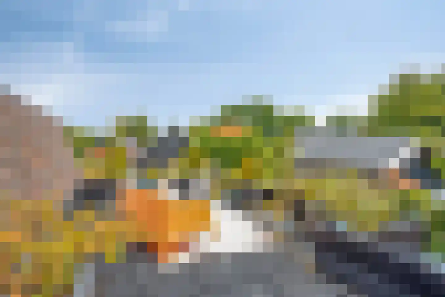 Grotestraat 31 Diepenheim thumbnail 52