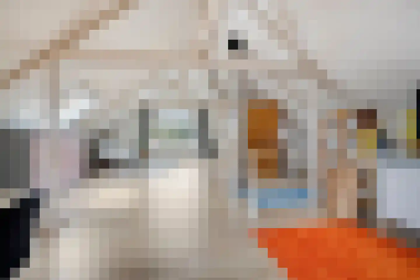 Grotestraat 31 Diepenheim thumbnail 57
