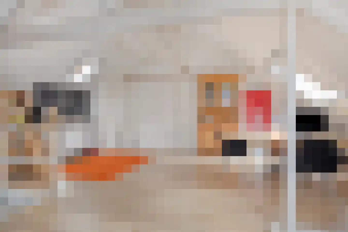 Grotestraat 31 Diepenheim thumbnail 60