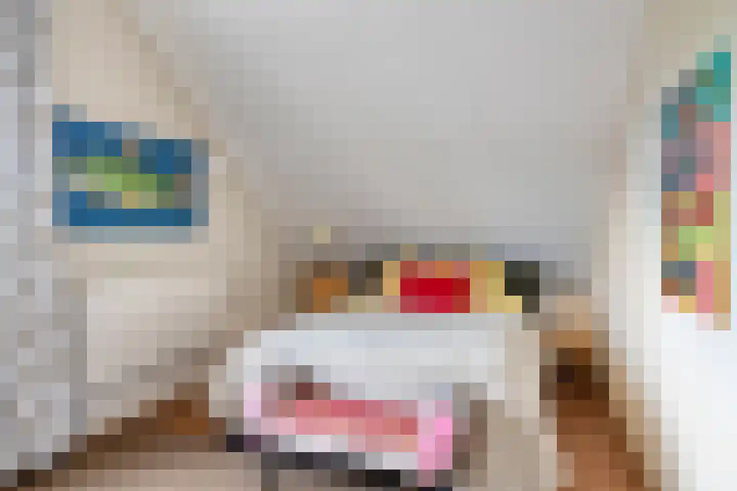 Grotestraat 31 Diepenheim thumbnail 63