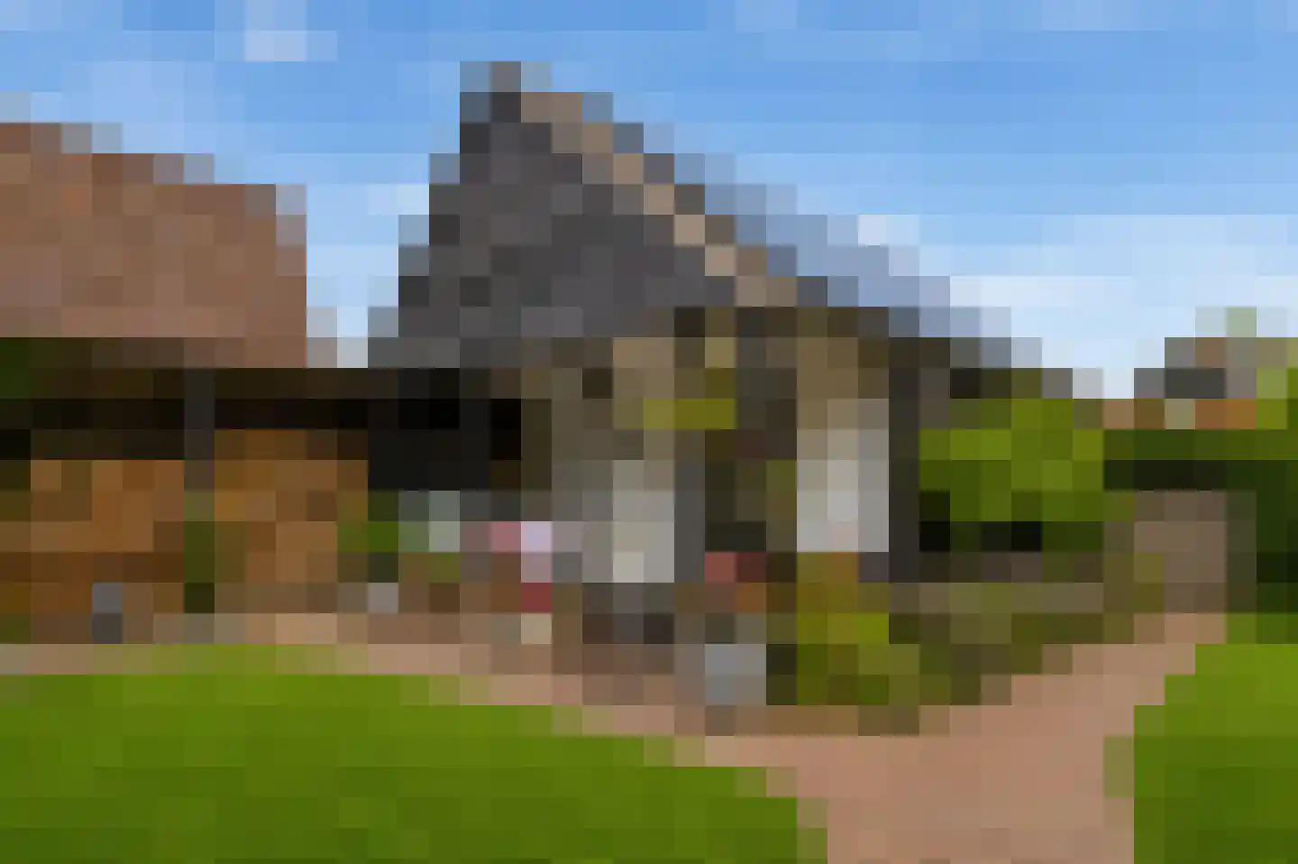 Grotestraat 31 Diepenheim thumbnail 74
