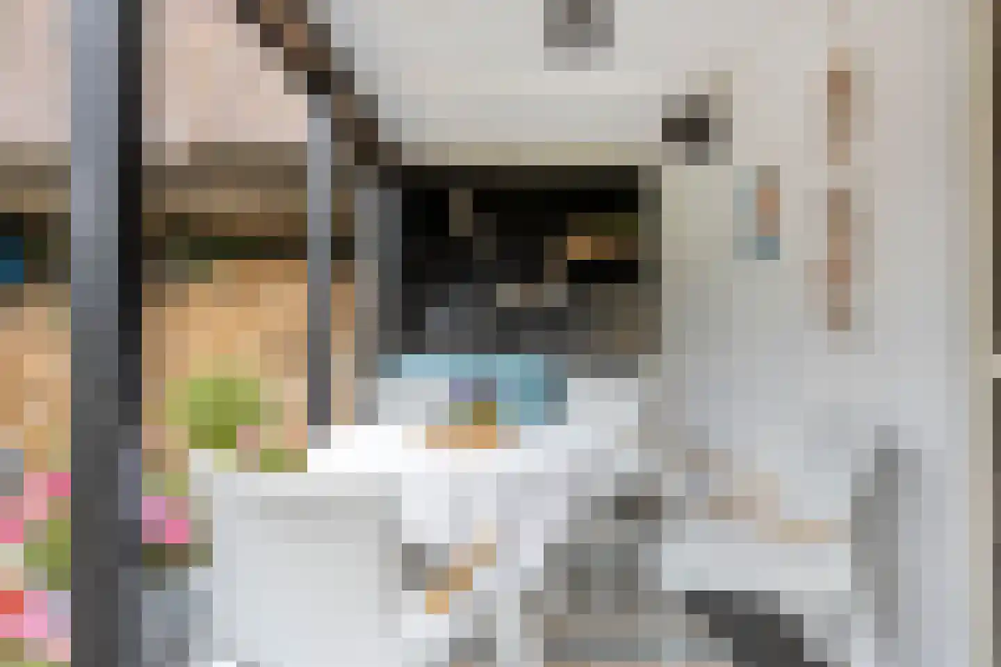Grotestraat 31 Diepenheim thumbnail 75