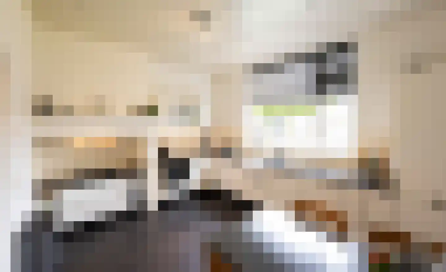 Grotestraat 318 Waalwijk thumbnail 17