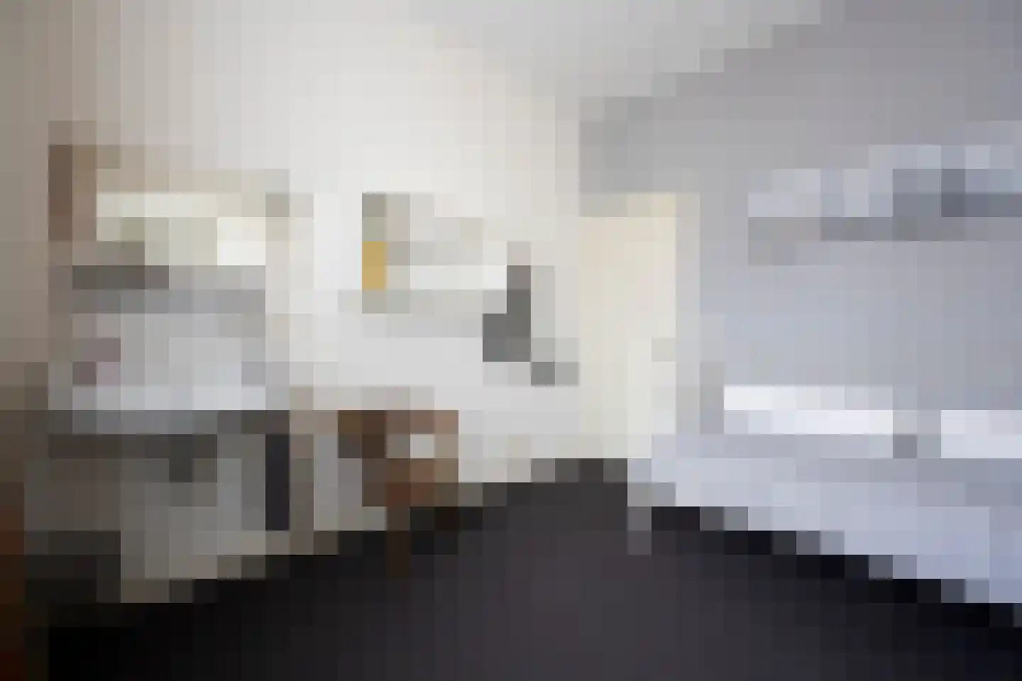 Grotestraat 318 Waalwijk thumbnail 34