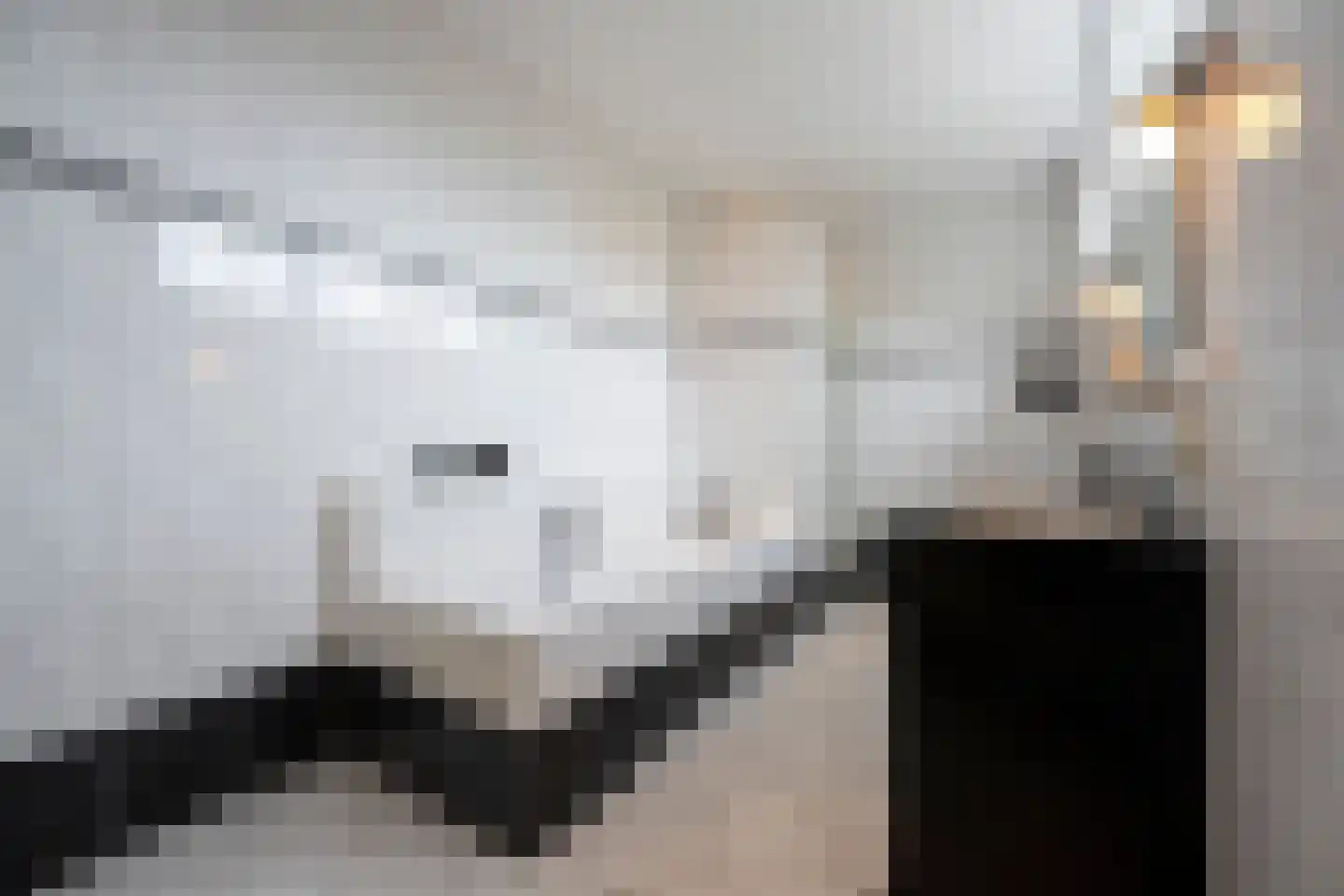 Grotestraat 318 Waalwijk thumbnail 35