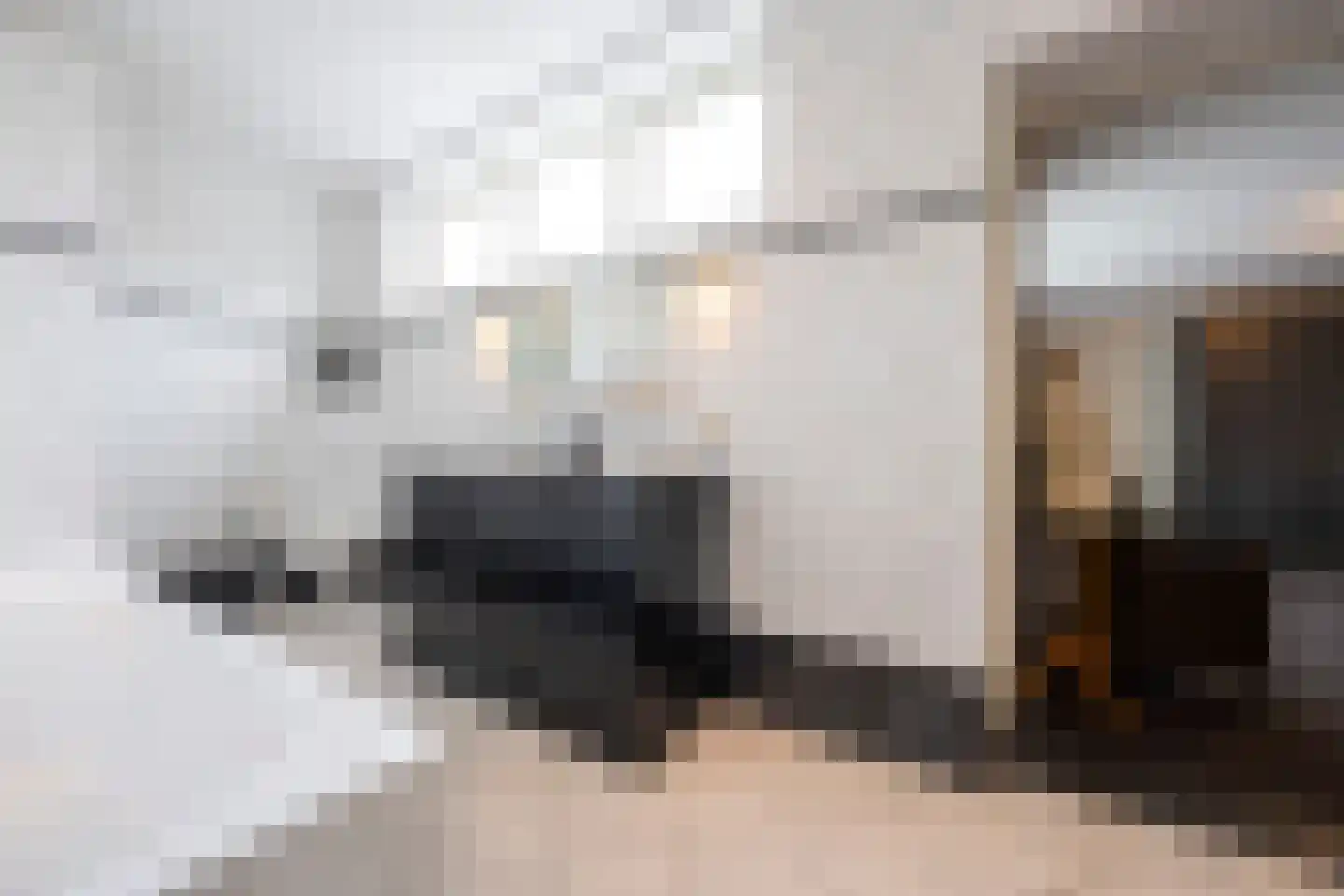 Grotestraat 318 Waalwijk thumbnail 37