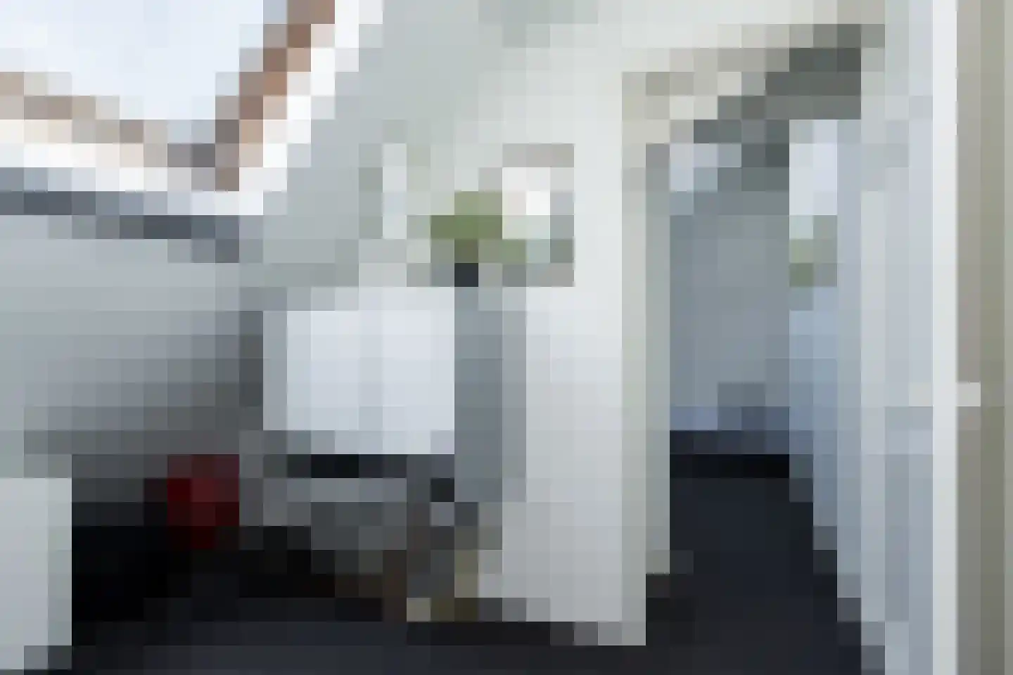 Grotestraat 318 Waalwijk thumbnail 40