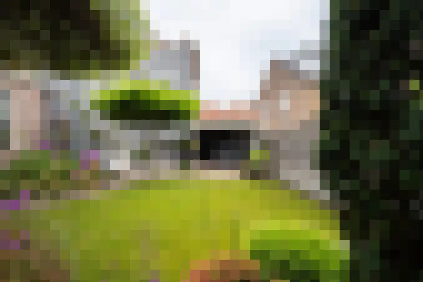 Grotestraat 318 Waalwijk thumbnail 5