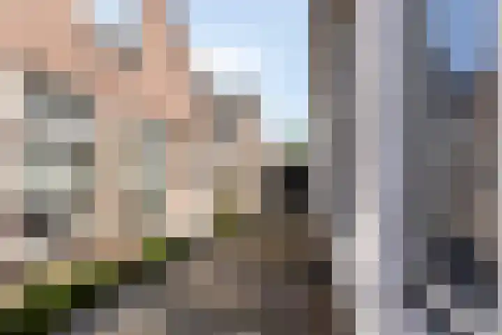 Grotestraat 320 d Waalwijk thumbnail 32