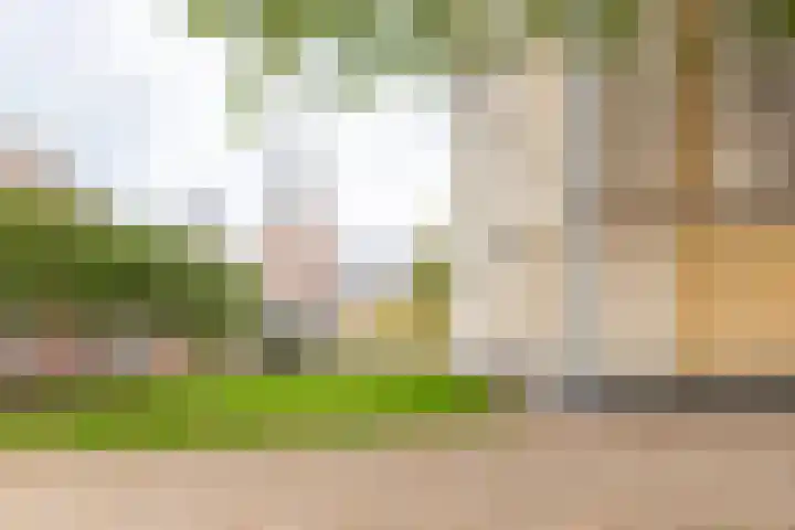 Grotestraat 33 E Gendringen thumbnail 31