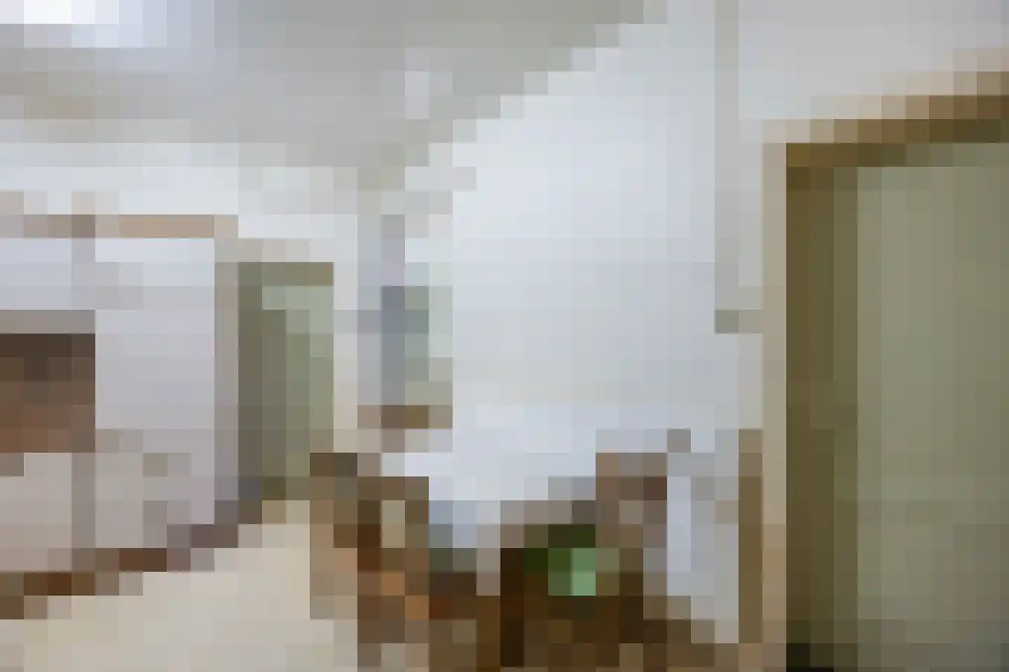 Grotestraat 33 Linne thumbnail 10