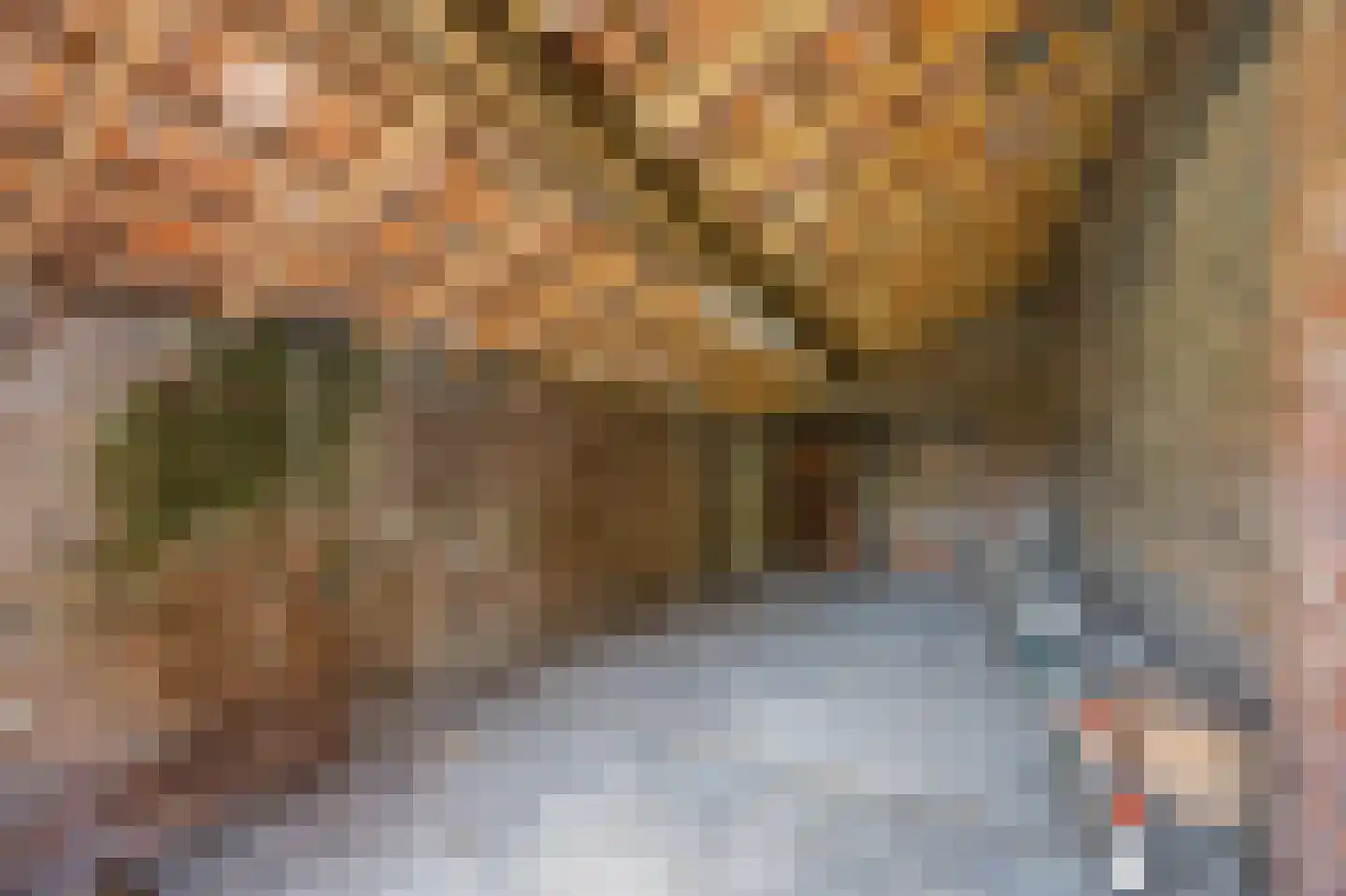 Grotestraat 33 Linne thumbnail 22