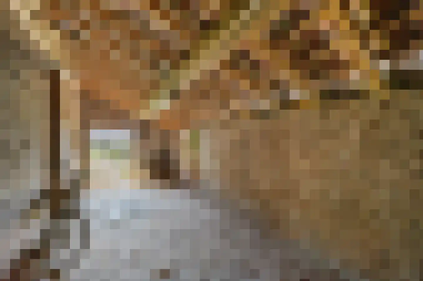 Grotestraat 33 Linne thumbnail 23
