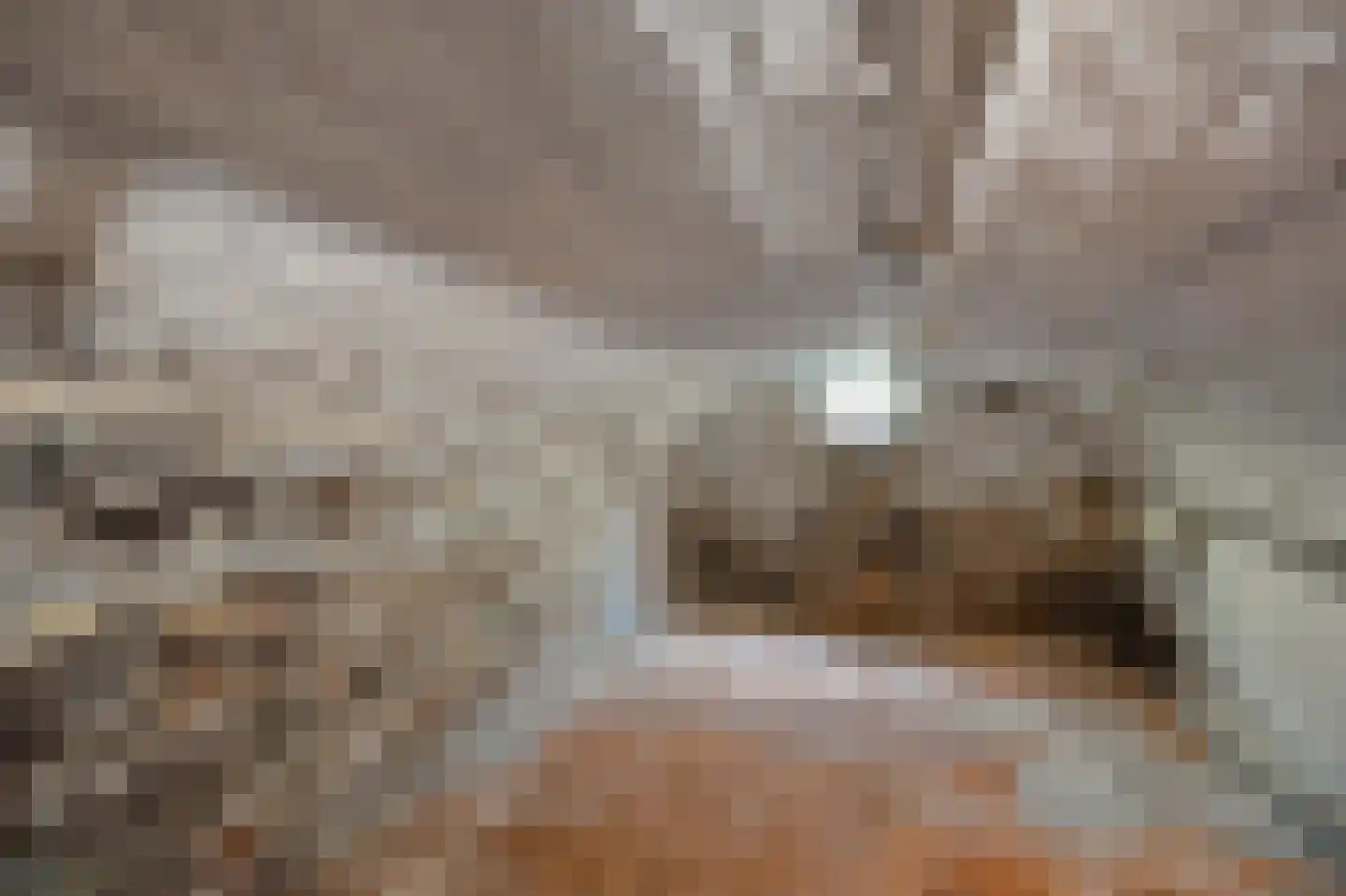 Grotestraat 33 Linne thumbnail 24