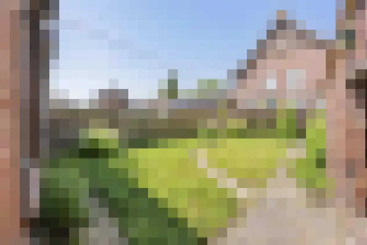Grotestraat 33 Linne thumbnail 25