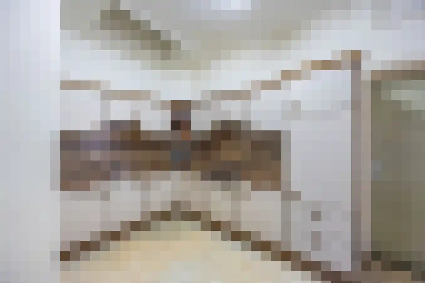 Grotestraat 33 Linne thumbnail 9