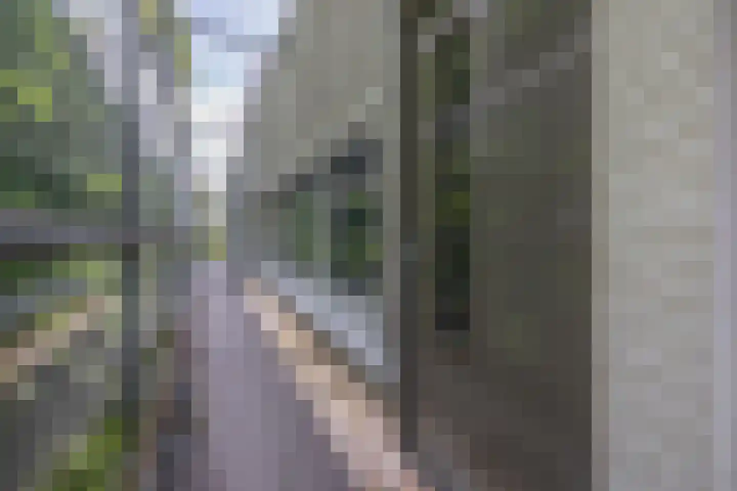 Grotestraat 339 w Waalwijk thumbnail 23
