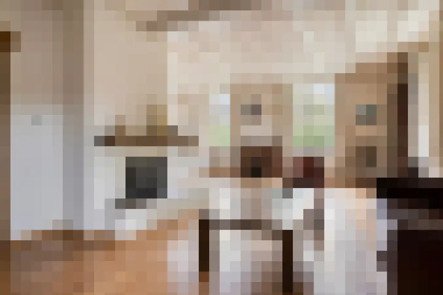 Grotestraat 34 Huisseling thumbnail 10