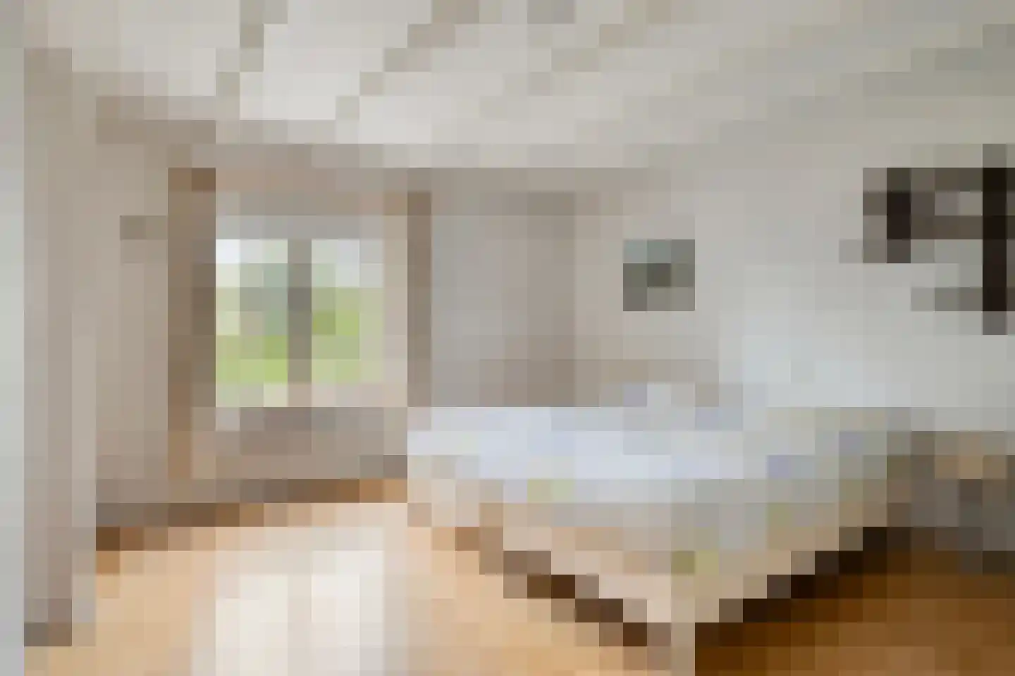 Grotestraat 34 Huisseling thumbnail 17