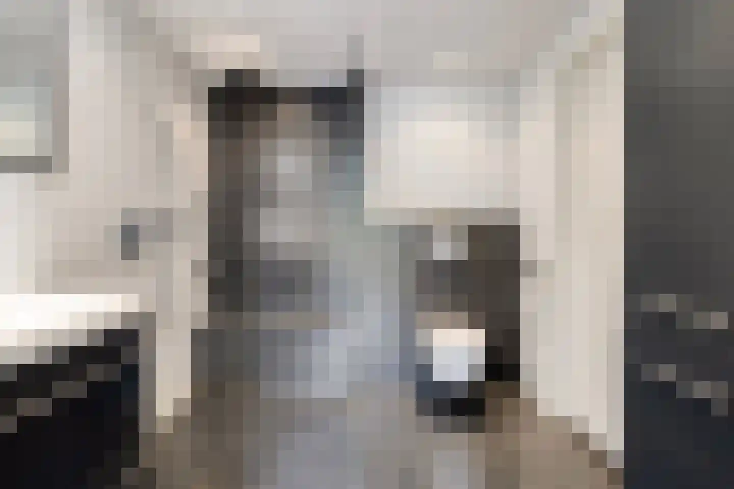 Grotestraat 34 Huisseling thumbnail 21