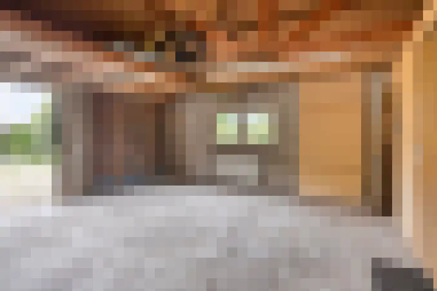 Grotestraat 34 Huisseling thumbnail 41