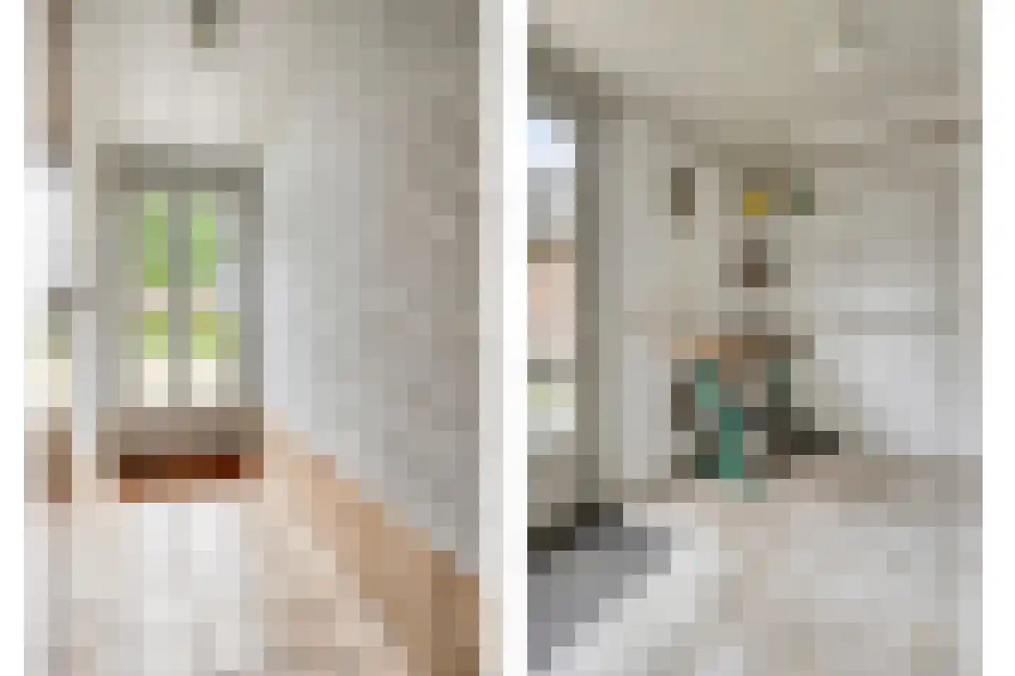 Grotestraat 34 Huisseling thumbnail 44