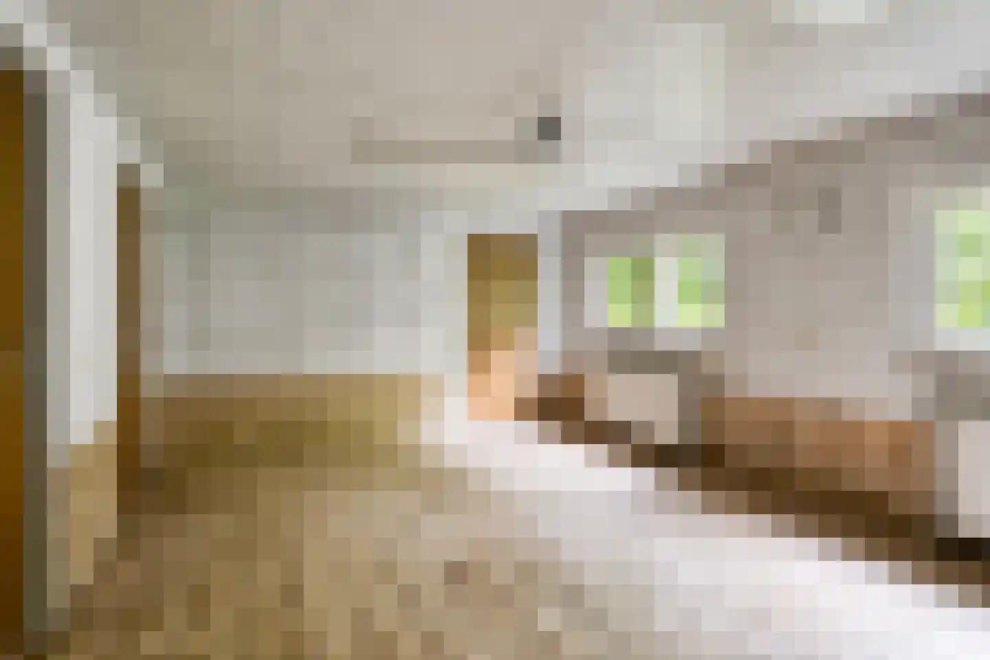 Grotestraat 34 Huisseling thumbnail 45