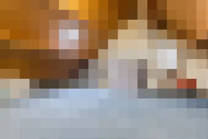 Grotestraat 354 Waalwijk thumbnail 19
