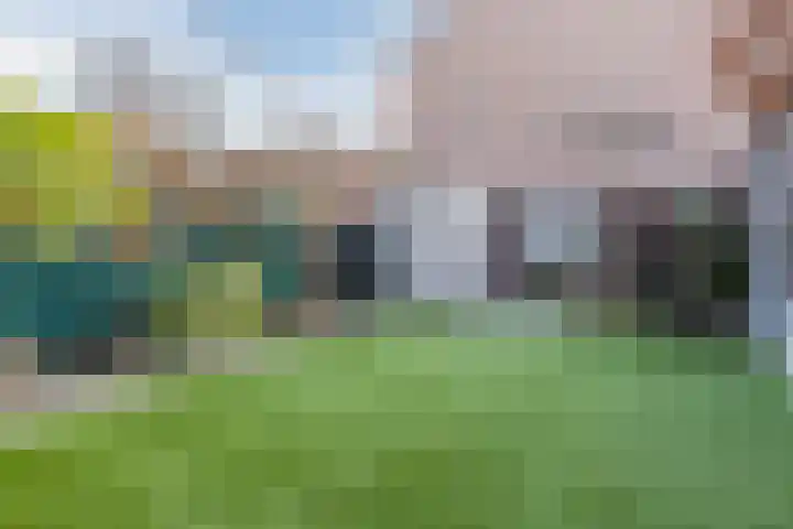 Grotestraat 354 Waalwijk thumbnail 26