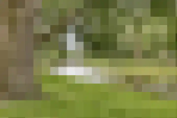 Grotestraat 36 Borne thumbnail 17