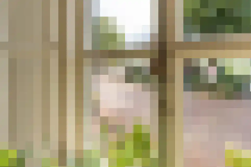 Grotestraat 36 Well L thumbnail 17