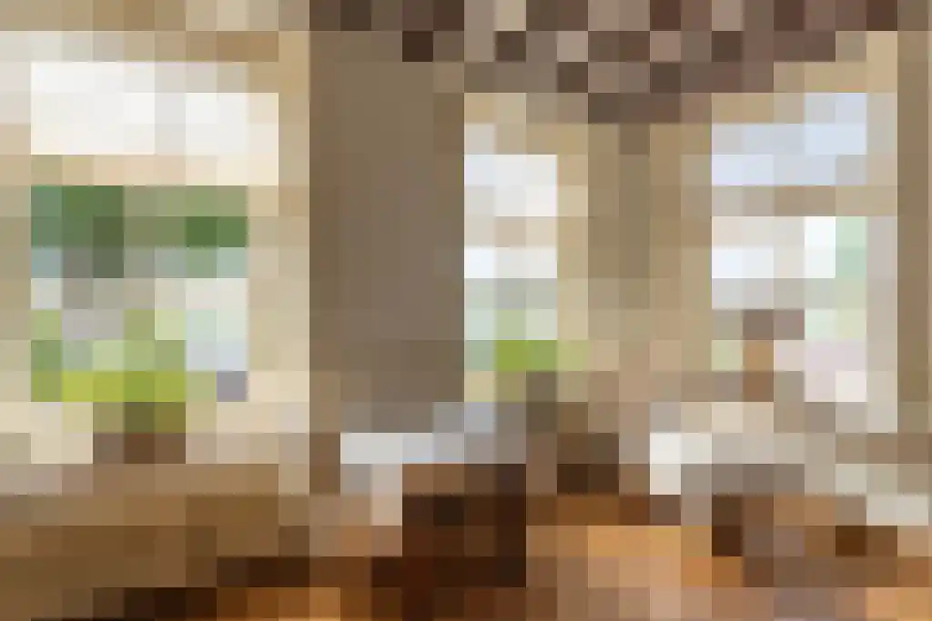 Grotestraat 36 Well L thumbnail 18