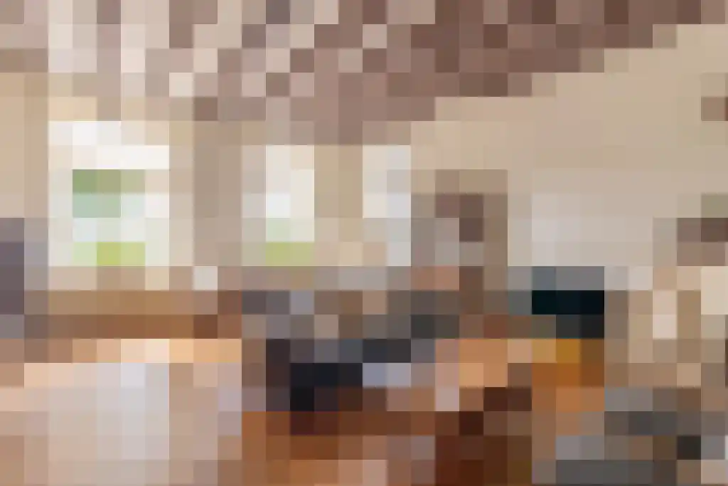 Grotestraat 36 Well L thumbnail 4