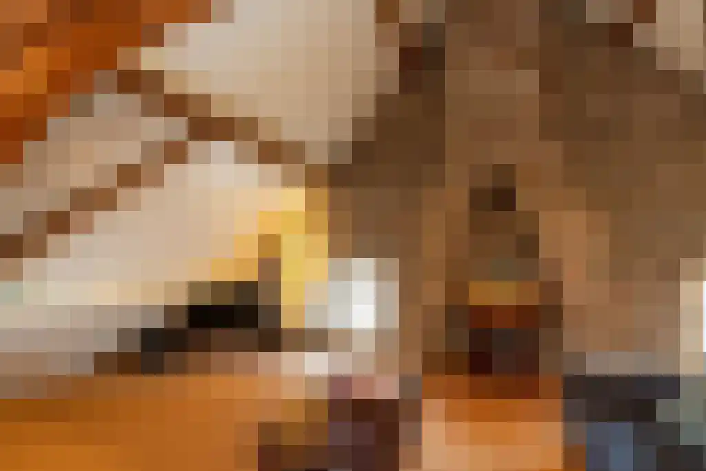 Grotestraat 36 Well L thumbnail 60