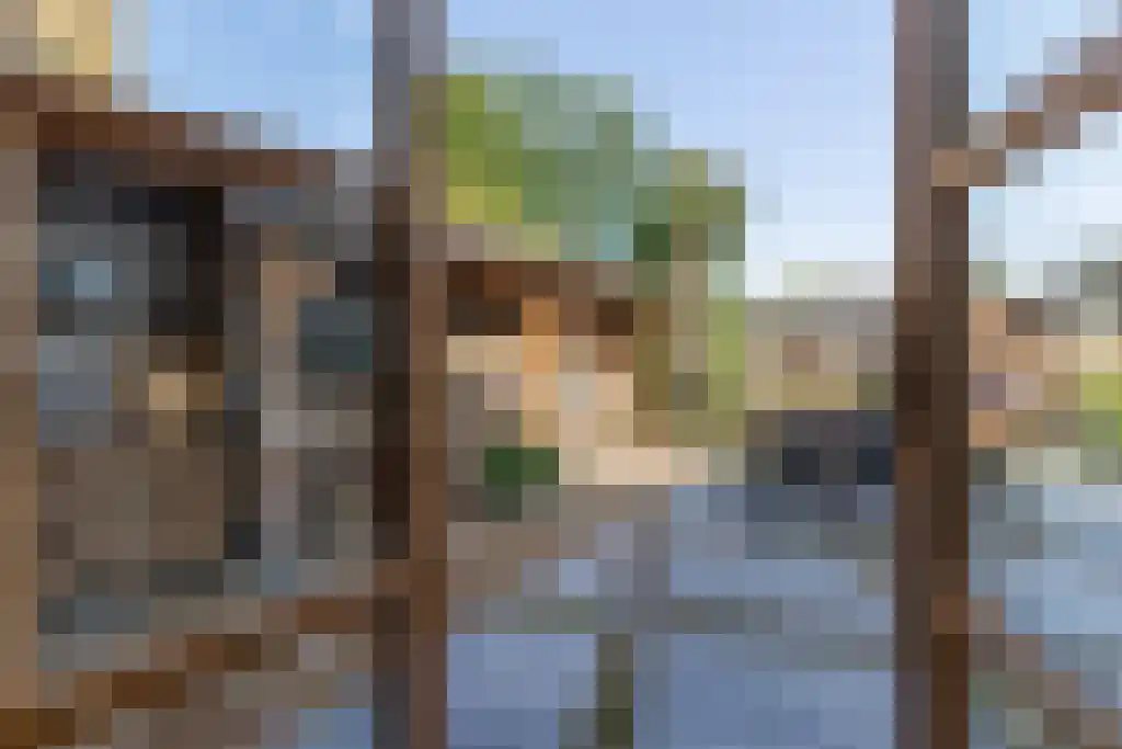 Grotestraat 36 Well L thumbnail 7