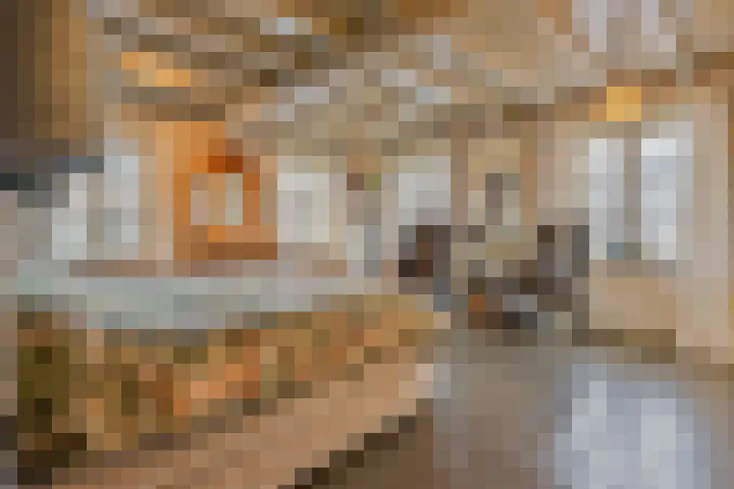 Grotestraat 37 Well L thumbnail 18
