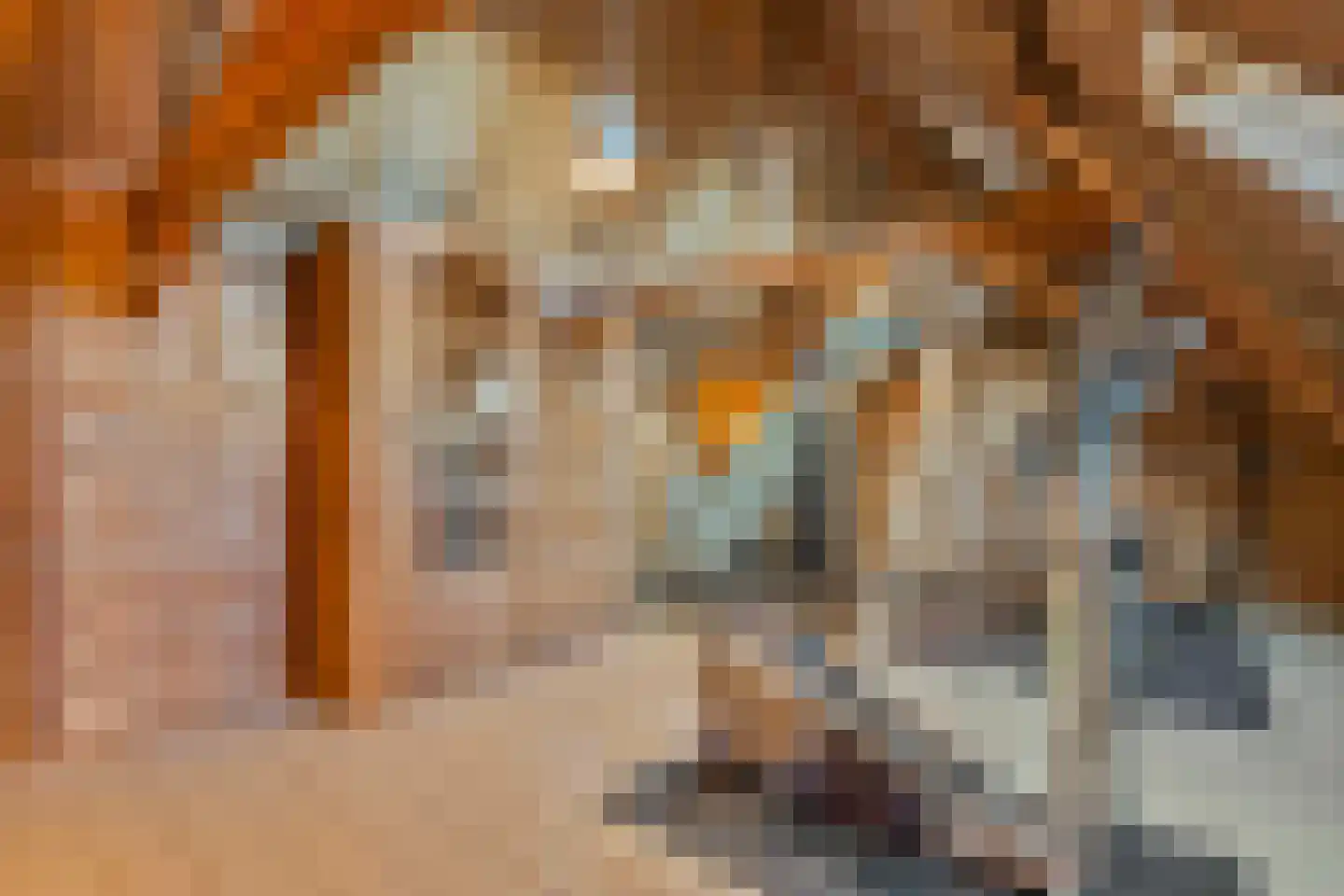Grotestraat 37 Well L thumbnail 27
